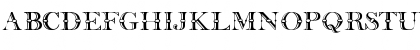 CarnivaleDisplayCapsSSK Regular Font CarnivaleDisplayCapsSSK Regular Font