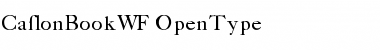 CaslonBookWF Regular Font CaslonBookWF Regular Font