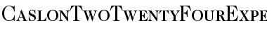 Caslon Two TwentyFour Expert BQ Regular Font Caslon Two TwentyFour Expert BQ Regular Font