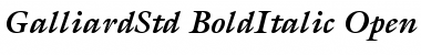 ITC Galliard Std Bold Italic Font ITC Galliard Std Bold Italic Font