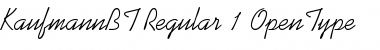 Kaufmann Regular Font Kaufmann Regular Font