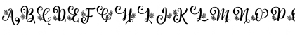 Albanian Olive Monogram 2 Regular Font