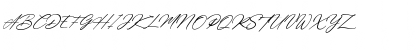 Amsterdam Signature Italic Regular Font