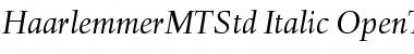 Haarlemmer MT Std Italic Font