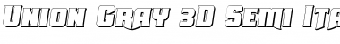 Union Gray 3D Semi-Italic Semi-Italic Font