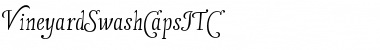 VineyardSwashCapsITC Regular Font