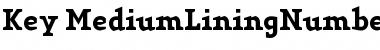 Key Medium Font